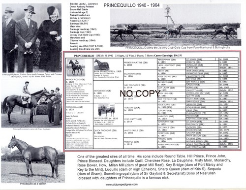 Race horse princequillo - race,