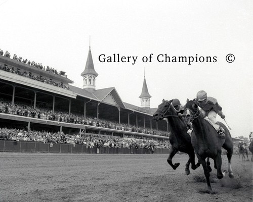 Northern dancer 1964 - northern,