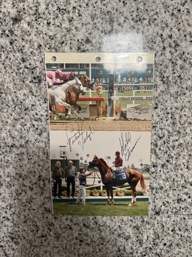 Unique thoroughbred horse - thoroughbred,