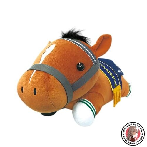 Thoroughbred collection lying - thoroughbred,